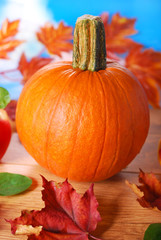 pumpkin on autumn table