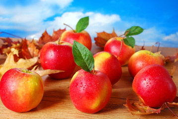 Naklejka na ściany i meble apples with water drops on autumn table