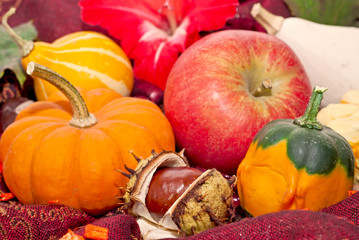 Der Herbst ist da!