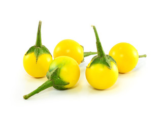 Yellow Eggplant on a white background.