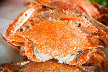 Steamed crab