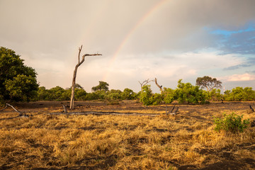 Landscape of south Africa with a rainbow, Botswana
