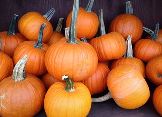 Pile Of Pumpkins