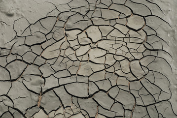 Cracked and Dried Mud