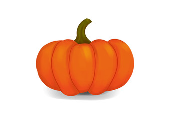 Pumpkin illustration
