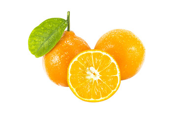 Sweet orange
