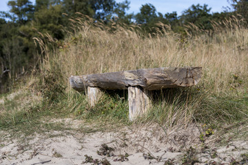 place to rest and sit in the forest