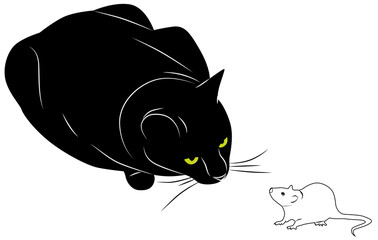 Cat and mouse