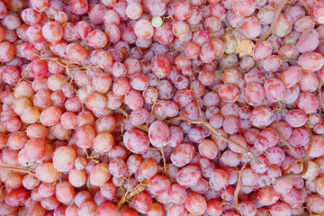 rose wine grapes, juicy background
