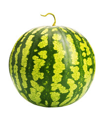 Fresh ripe watermelon
