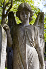 Graveyard Angel