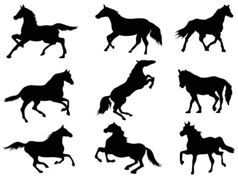 horse Silhouettes