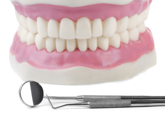 Anatomical teeth model and dental tools