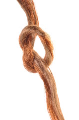 Copper wire on white background