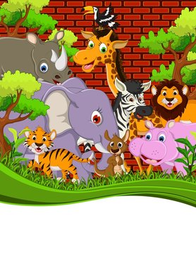 vector illustration of cute animal wildlife cartoon