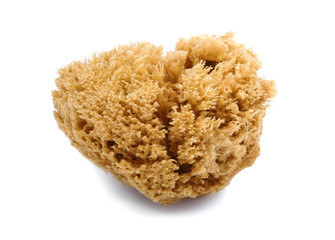 natural sponge