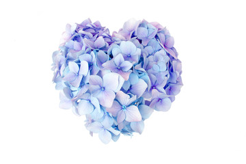Fleur d& 39 hortensia en forme de coeur