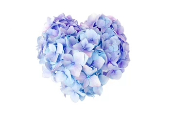 Photo sur Plexiglas Hortensia Fleur d& 39 hortensia en forme de coeur