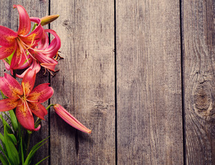 Obraz na płótnie Canvas lily on wooden background