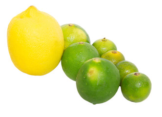 Calamansi, lime and lemon over white background