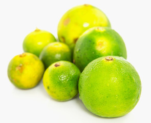 Calamansi and lime over white background