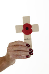 Woman's hand holding a Remembrance Day cross