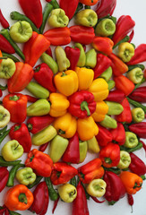 sweet peppers design