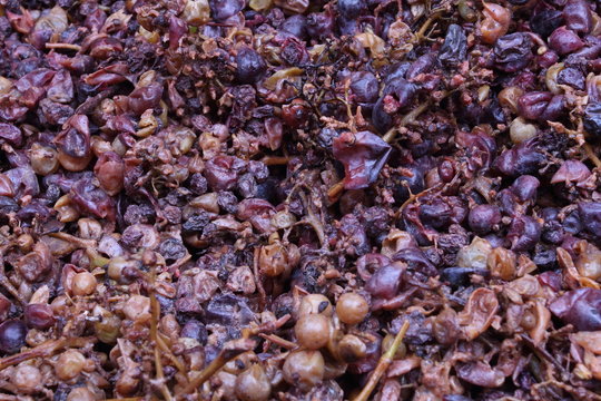 vinacce