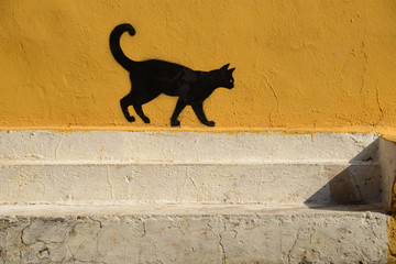 murales - gatto
