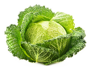 Fresh raw cabbage isolated on white background