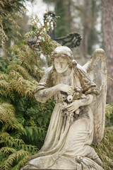 Weeping angel tombstone in famous Lychakiv Cemetery, Lviv