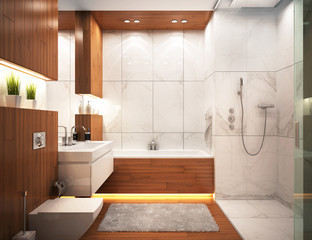 Modern bathroom in modern home