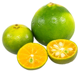 Calamansi and lime over white background