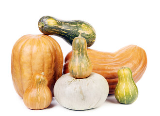 Composition of different types fresh pumpkins.