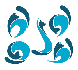 lovely cats, my favorite pet