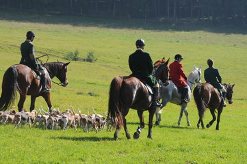 Fototapeta premium Jagdreiten