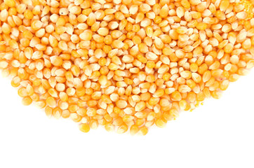 Closeup of corn grains.
