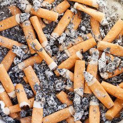 many cigarette butts close up