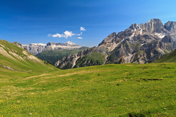 Fototapeta na wymiar Dolomity - pastwiska w dolinie Contrin