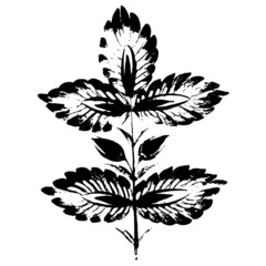 ornamental silhouette