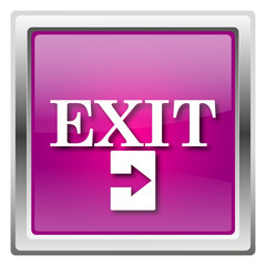 Exit icon