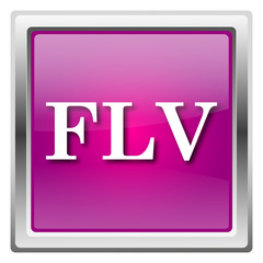 FLV icon