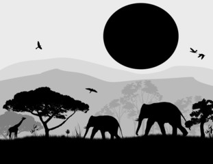 Wild elephants and giraffe at sunset