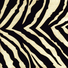 Zebra background