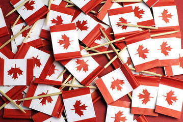 Canada red and white Maple Leaf toothpick flags background