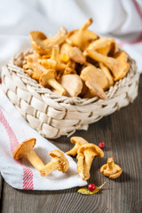 Сhanterelle mushrooms