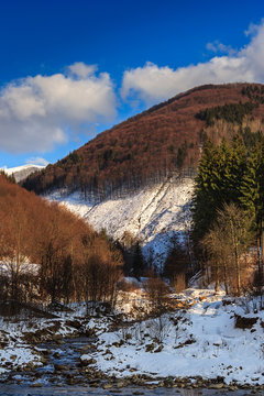 stream between snowy mountains with deciduous and conifer forest