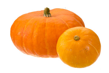 Ripe pumpkin