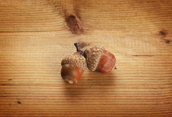 Two autumn acorns on wooden background