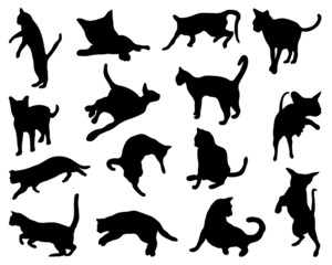 Black silhouette of cats ,vector illustration